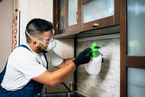 Best Pest Prevention Services  in Mammoth Lakes, CA