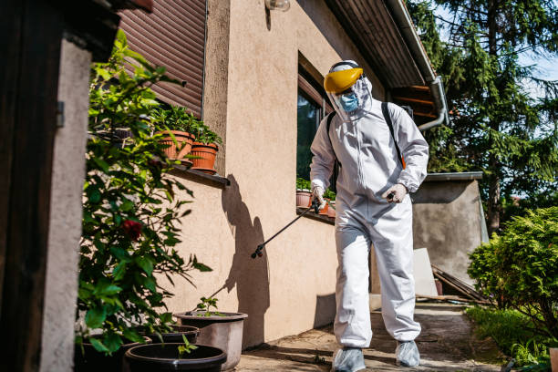 Best Insect Control  in Mammoth Lakes, CA