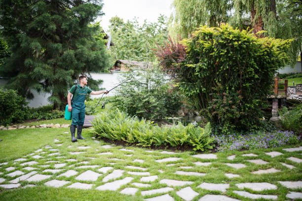 Best Best Pest Control Companies  in Mammoth Lakes, CA