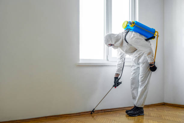 Best Ant Control Services  in Mammoth Lakes, CA