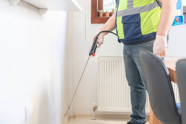 Best Termite Control Services  in Mammoth Lakes, CA
