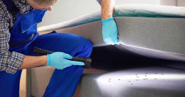 Best Bed Bug Extermination  in Mammoth Lakes, CA