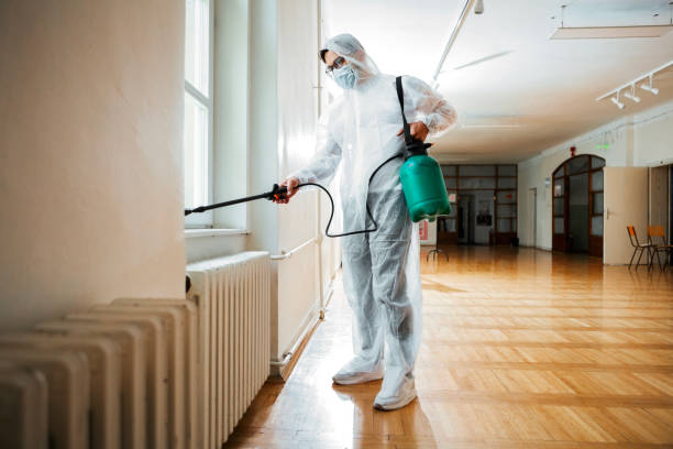Best Affordable Pest Control Services  in Mammoth Lakes, CA