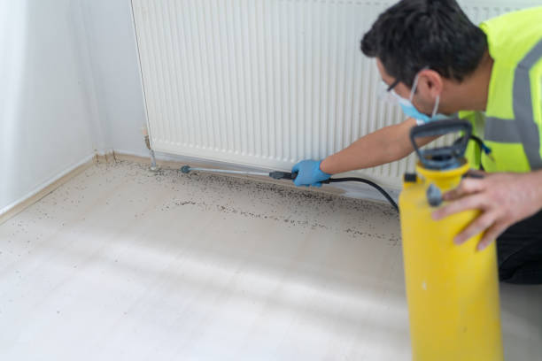 Best Local Pest Control Services  in Mammoth Lakes, CA